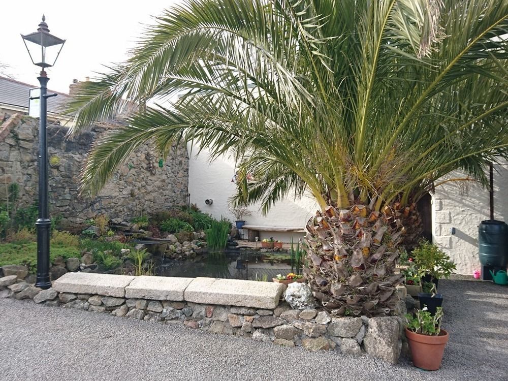 Villa The Cedars Redruth Exterior foto
